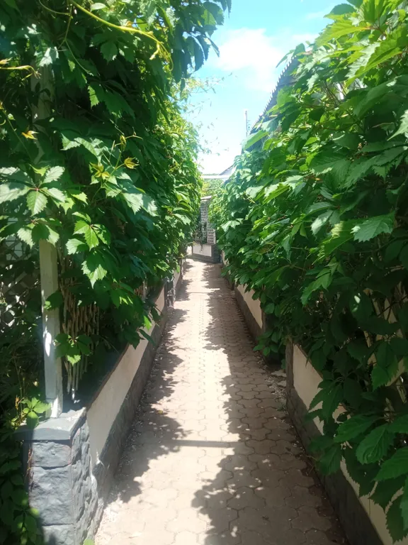 Номер с удобствами в 5 минутах от моря