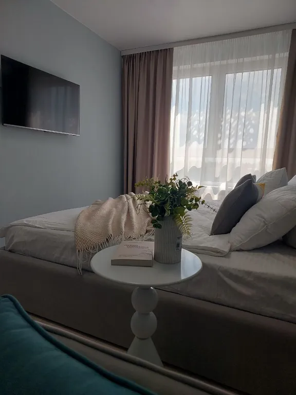 1 комнатные апартаменты в центре города