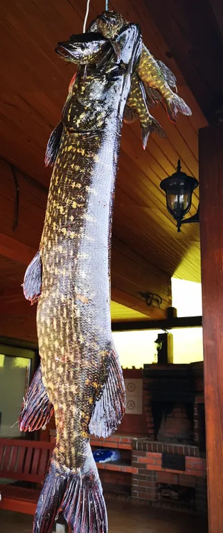 Усадьба Терраса на берегу озера