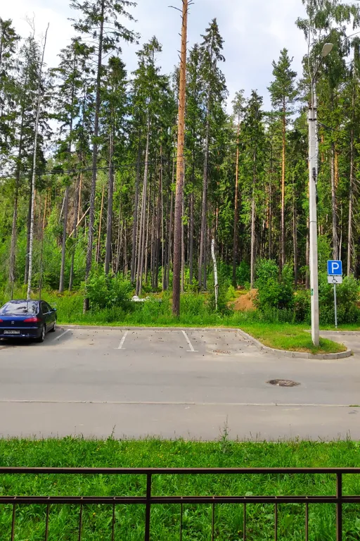 Уютная студия в Сертолово