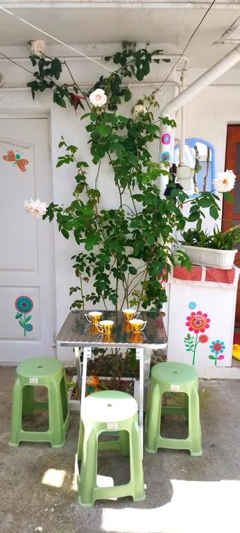 Квартира Квартира на земле в своем дворе — Евпатория