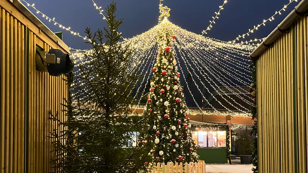 Альпийское Шале на курорте Охта Парк