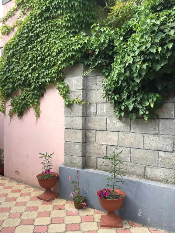 Коттедж Уютный домик — Ялта