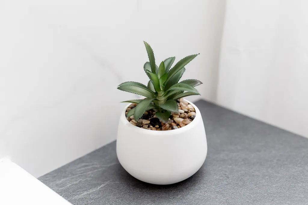 Квартира Прекрасные апартаменты в Ялтинском парке — Калининград