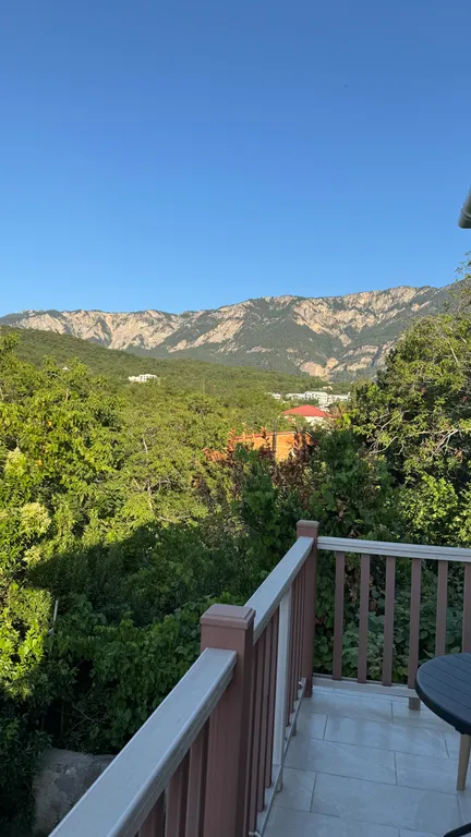 Студия Киви