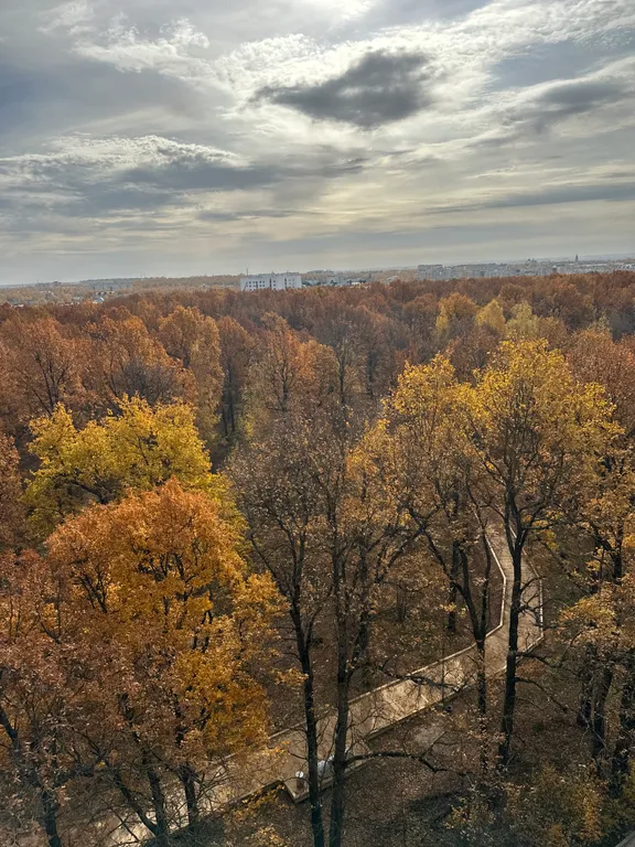 Комфортные апартаменты с видом на Дубовую рощу