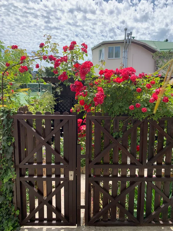 Домик на Ломоносова