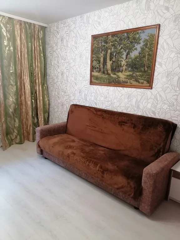 Уютная квартира в центре ждёт своих гостей (не моложе 25 лет)