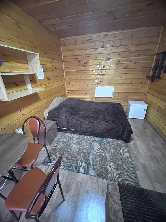 Уютный номер с двухместной кроватью и кресло-кроватью №3