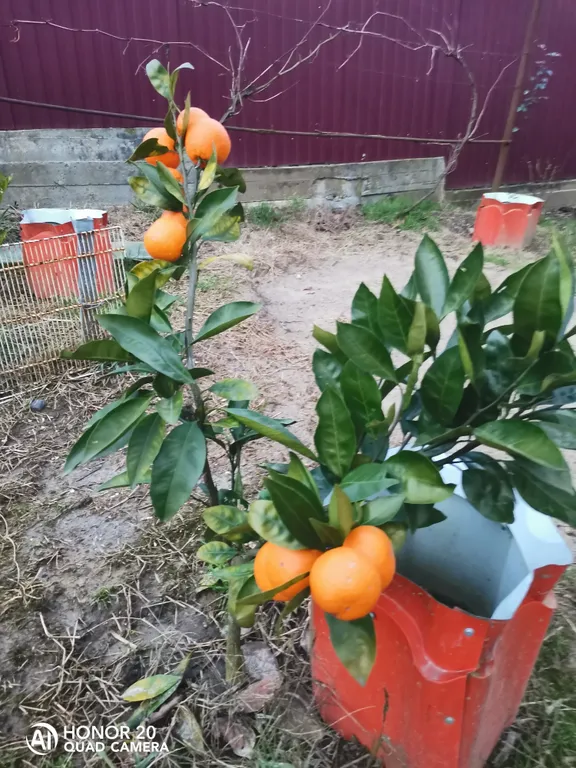 Квартира-студия Тихий уголок Адлера