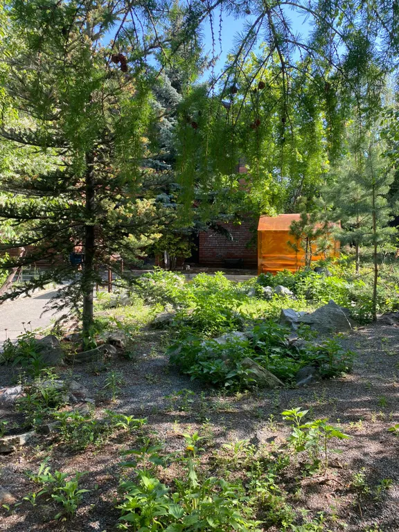 Увильды дом у озера