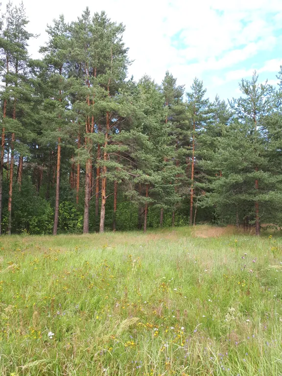 Дом-коттедж у Ладожского озера