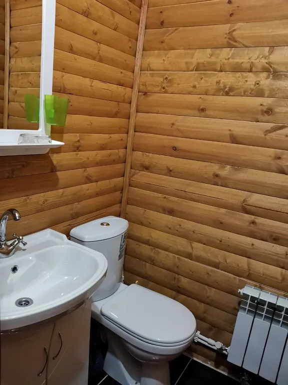 Уютный коттедж в центре Домбая