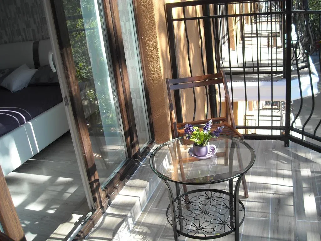 Квартира 1-комнатная Квартира — Светлогорск