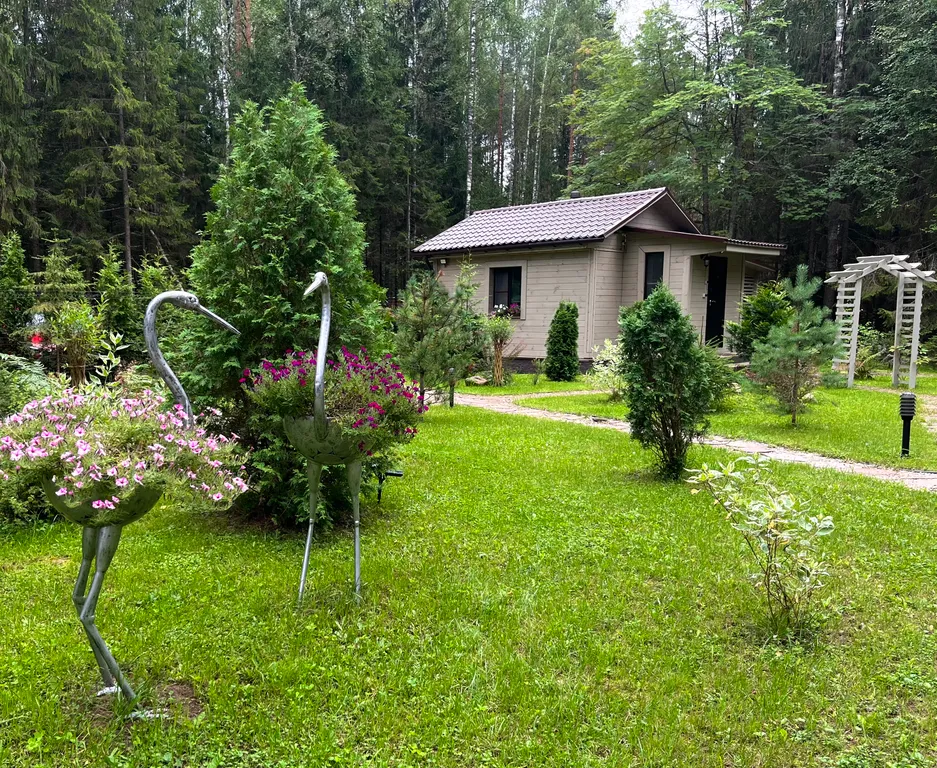 Коттедж Уютный домик на озере Волго на Селигере в сосновом бору — Турбаза Чайка