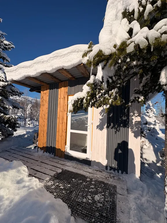 Дом с видом на горы в елочках