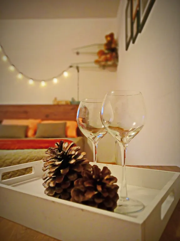 Апартамент с камином