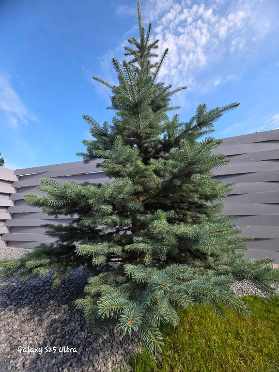 Гостевой двухкомнатный дом South lane.