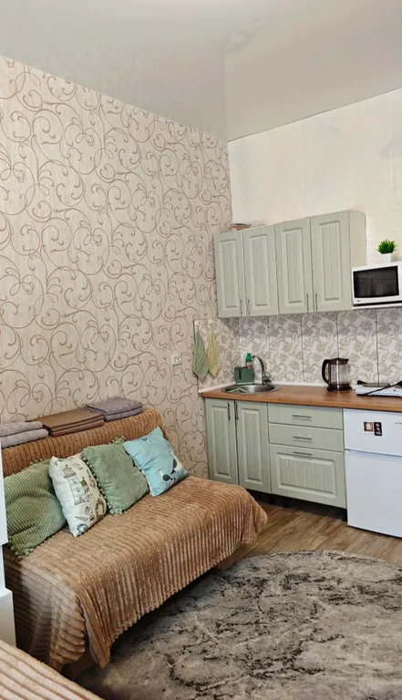 Уютная студия в центре города