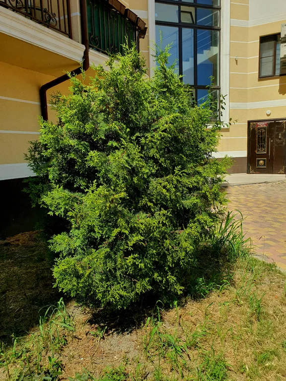 Апартамент с видом на море