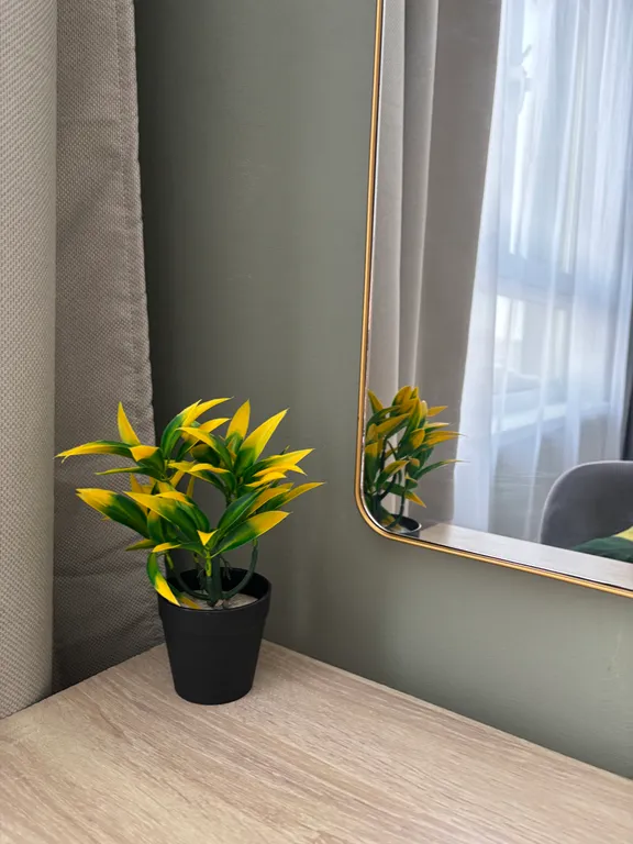 Квартира Студия комфорт — аренда посуточно в Ярославль