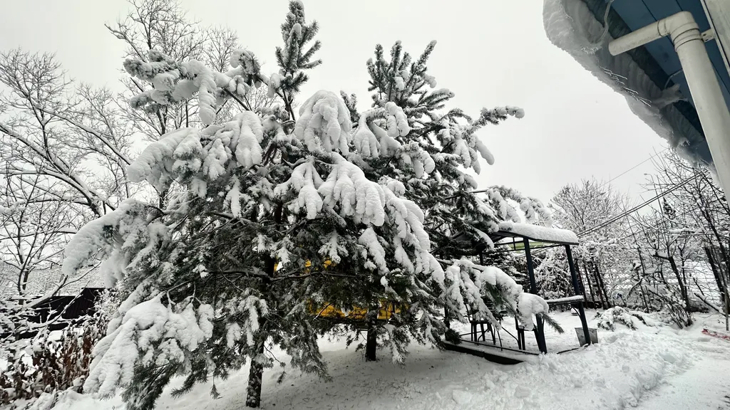 Коттедж Коттедж Курортное шале в писательском Переделкино — Москва