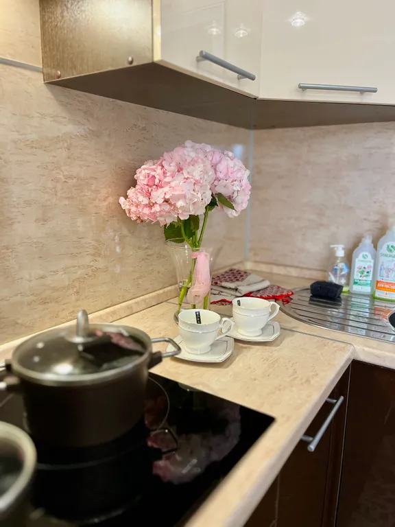 Уютная и светлая квартира в Фрунзенском районе