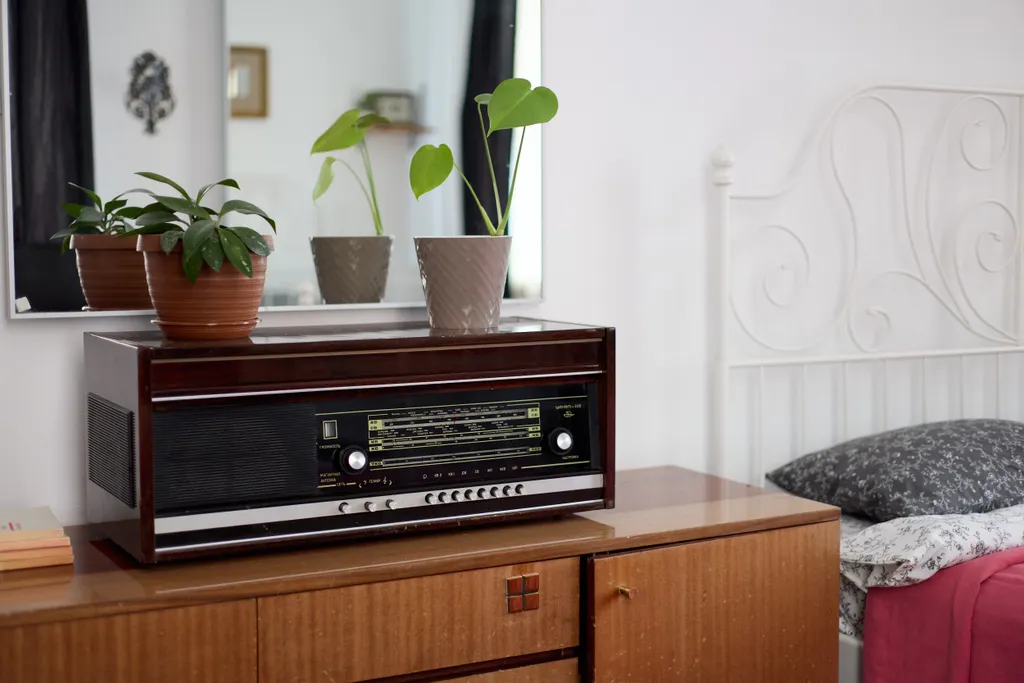 12-местный апартамент в ретро стиле с кинотеатром и Sony PS4