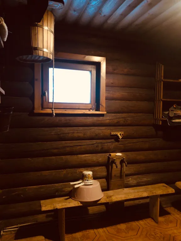 Изба (дом) из экологически чистого бревна под камышовой крышей в лесу