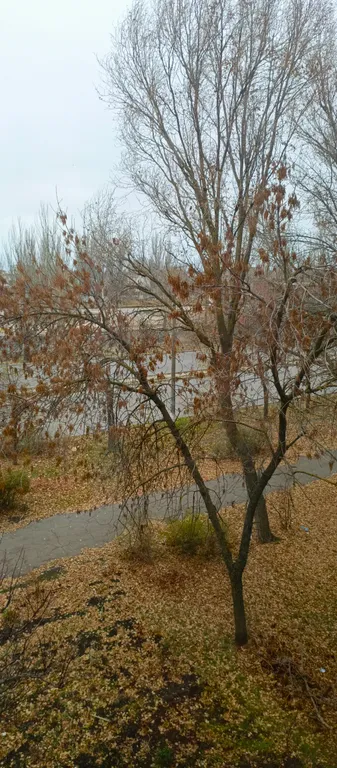 Супер удобное расположение квартиры