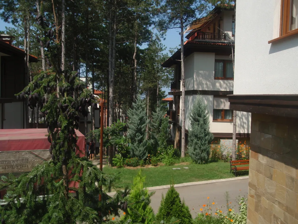 Трехкомнатный люкс в соснах у моря в Санта Марина