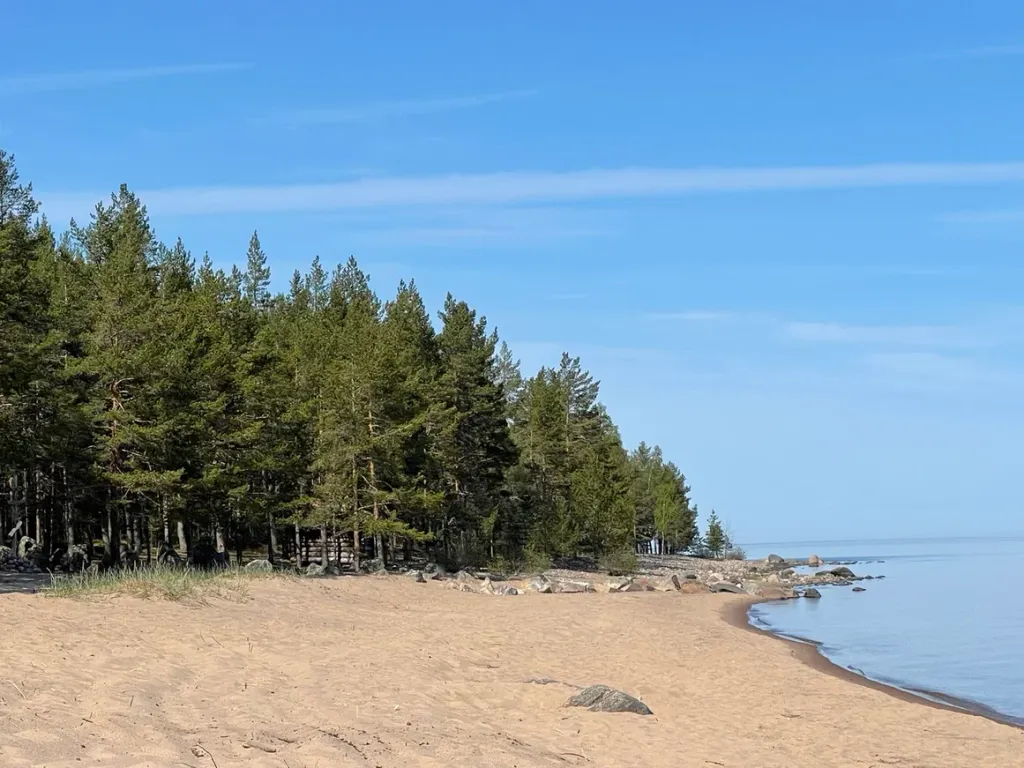 Коттедж Уютный дом с камином и сауной у озера — Ларионово