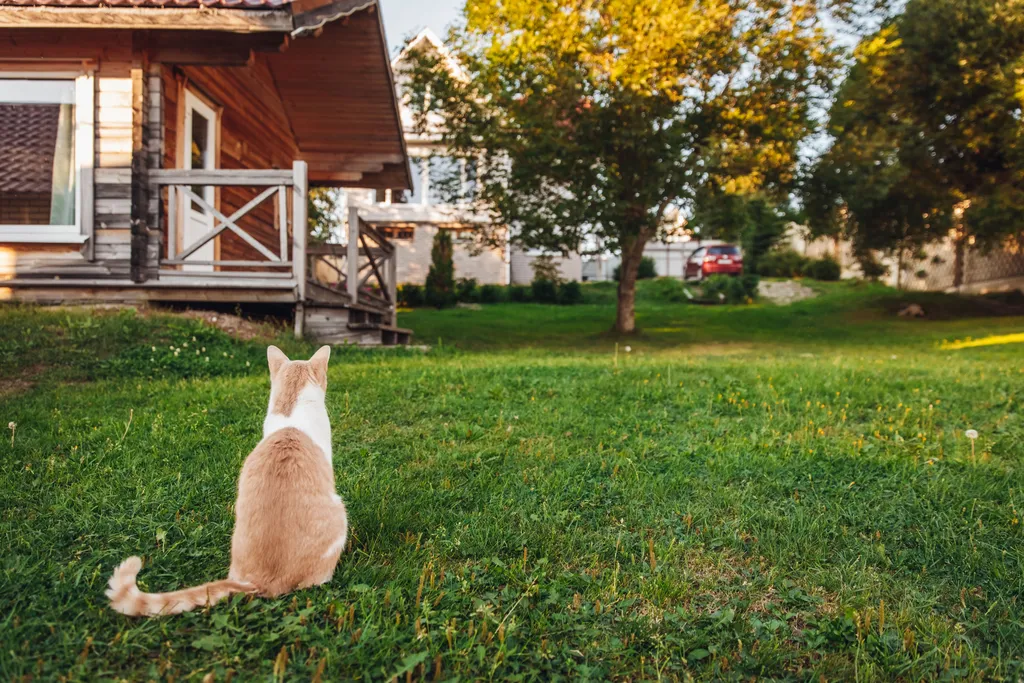 Коттедж Загородный дом на берегу озера — Машезеро