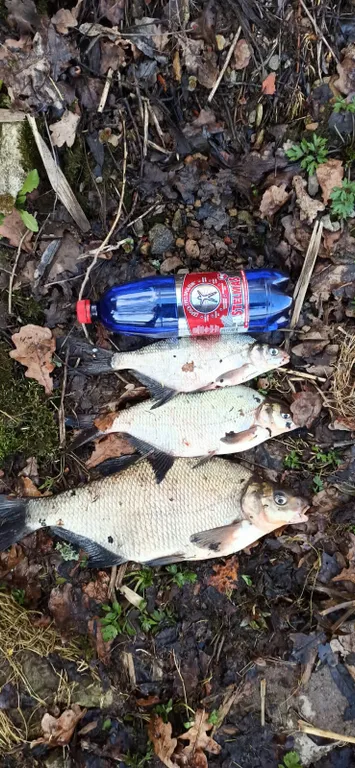 Уютный коттедж на реке