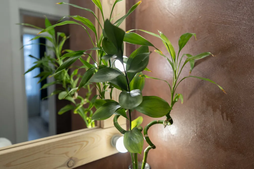 Комфортная квартира для Вас