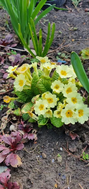 Коттедж FLIGELMUZ (Загородный Музыкальный Флигель). — Северская