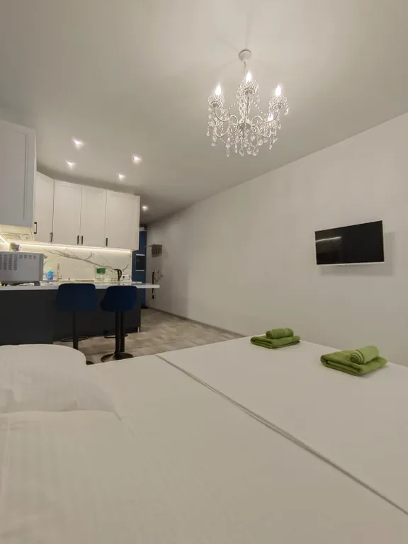 Уютная студия в Старой Купавне