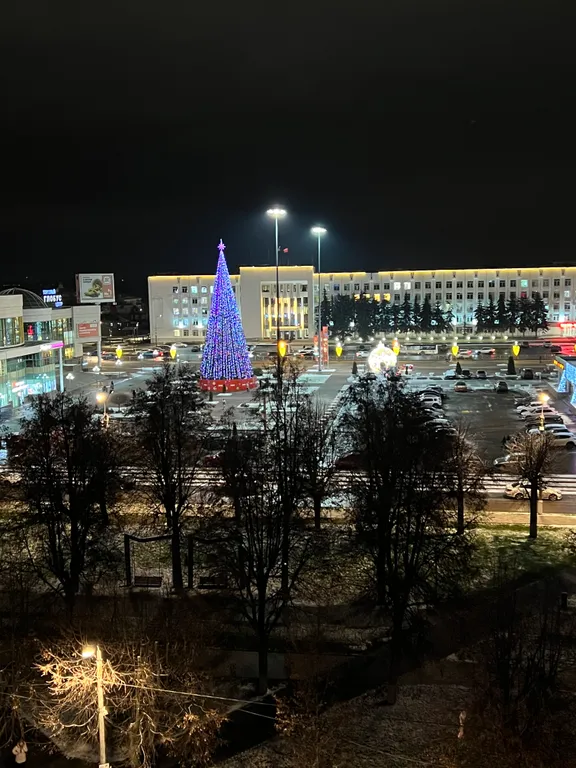 Квартира в исторической части города с великолепным видом из окна