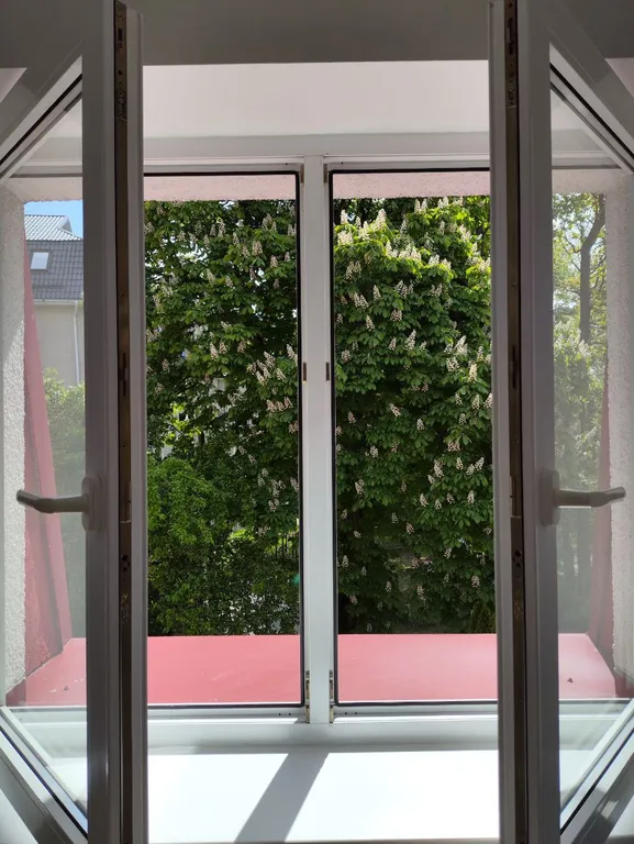 Квартира Уютные апартаменты в центре города — Светлогорск