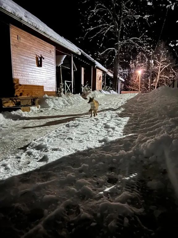 Квартира Жилая комната на четверых в деревянном таунхаусе — Апшеронск