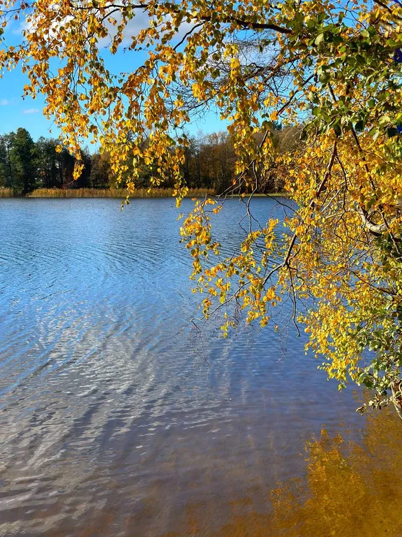 Квартира Семейный апартамент с просторной гостиной и просторной спальней — Мичуринское