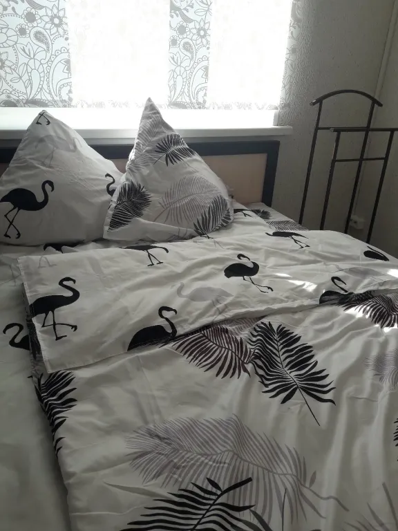 Квартира в историческом центре Сортавала до 6 человек