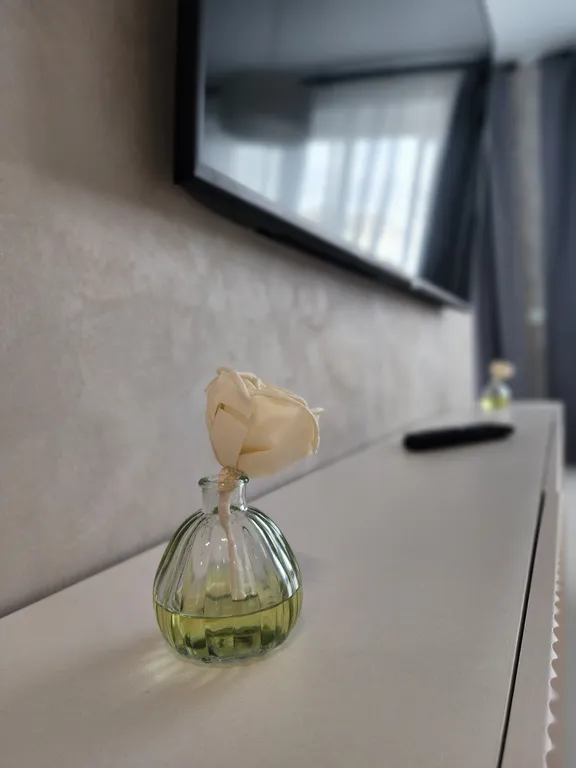 Квартира Квартира Апартамент Нижнее озеро — Калининград