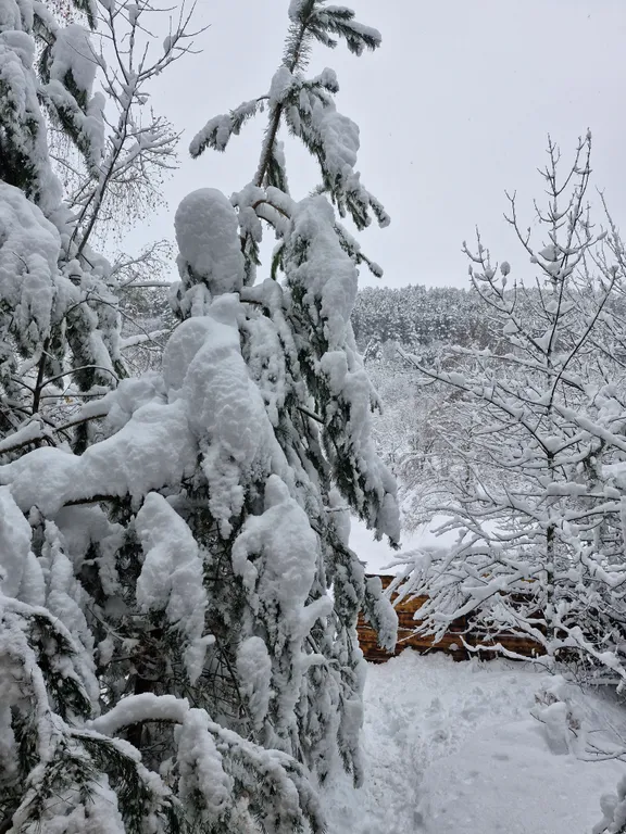 Коттедж Домик в лесу — Кисловодск