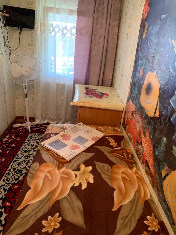 Одноместный эконом