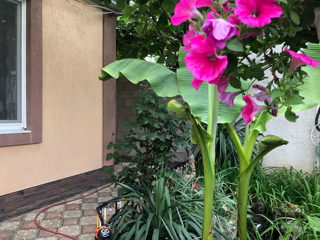 Трехместный номер