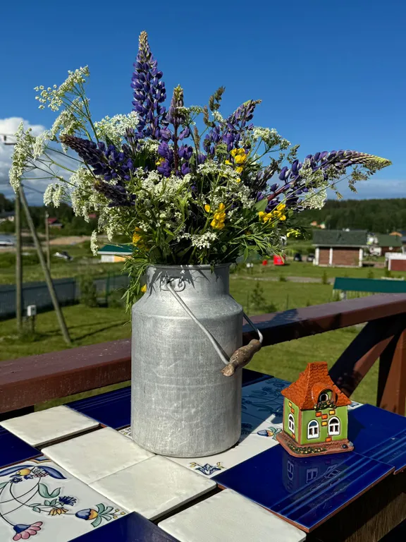 Домик с душой