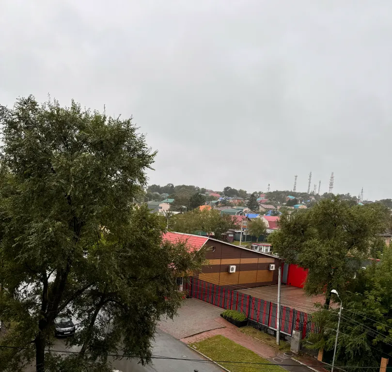 Солнечная, уютная, светлая квартира