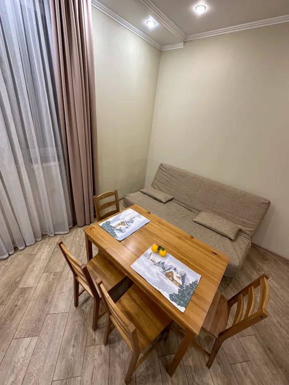 Евро-двухкомнатный апартамент Лаура 8