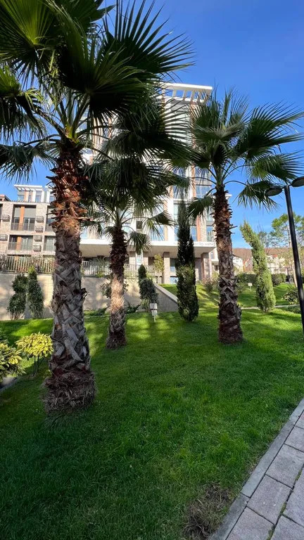 Апартаменты с джакузи